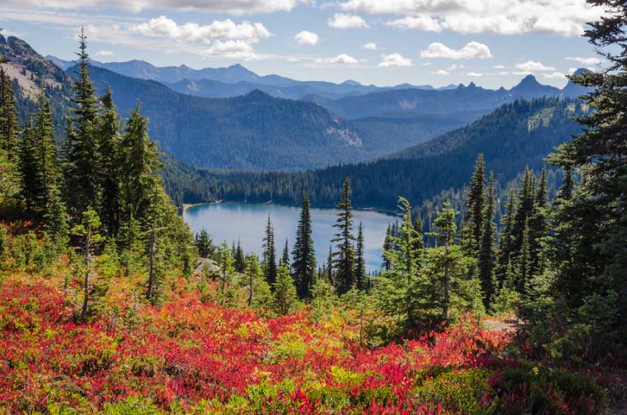 Explore Moscow, Idaho: Top Attractions And Insider Tips For Your ...
