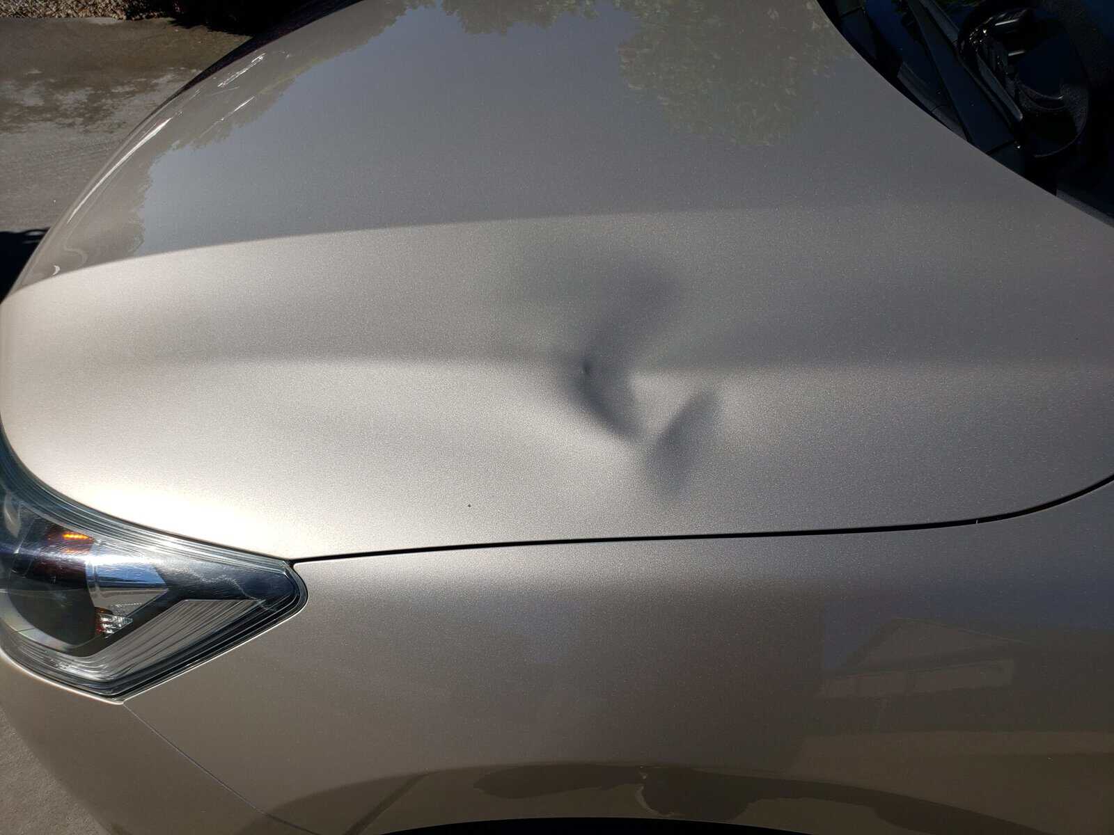 Large body line dent in hood of Honda Accord