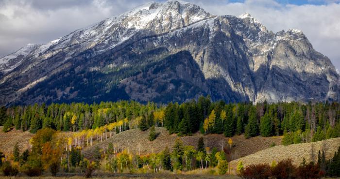 aberdeen idaho