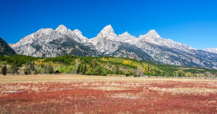driggs idaho